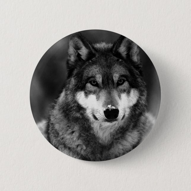 Schwarz-Weiß-Wolf Button (Vorderseite)