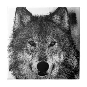 Schwarz-Weiß-Wolf Fliese