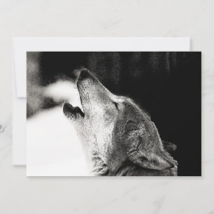 Schwarz-Weiß-Wolf-Howling am Mond-Einladung Einladung