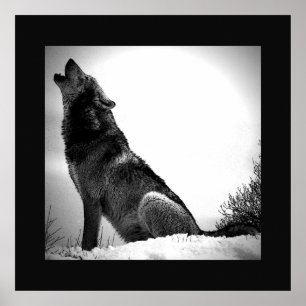Schwarz-Weiß-Wolf-Howling bei Moon Poster Print