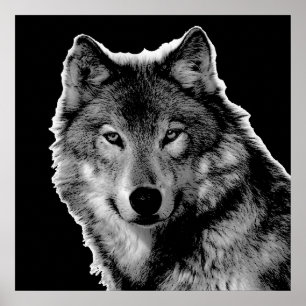 Schwarz-Weiß-Wolf-Kunstwerk Poster