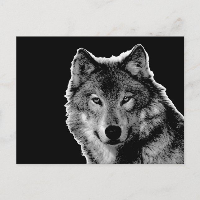 Schwarz-Weiß-Wolf-Kunstwerk Postkarte (Vorderseite)