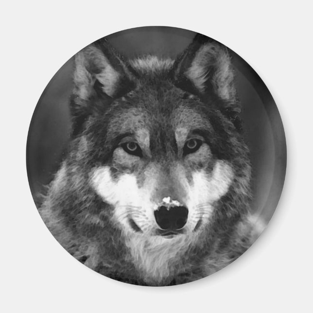Schwarz-Weiß-Wolf Magnet (Vorne)
