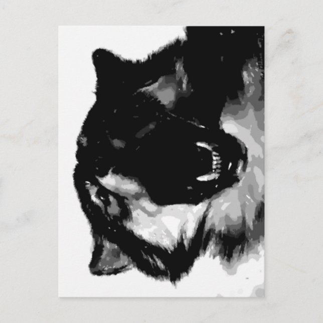 Schwarz-Weiß-Wolf Postkarte (Vorderseite)