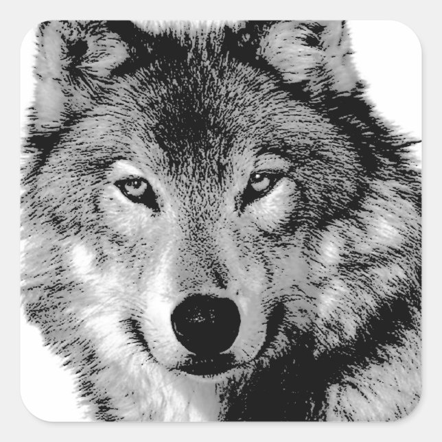 Schwarz-Weiß-Wolf Quadratischer Aufkleber (Vorderseite)
