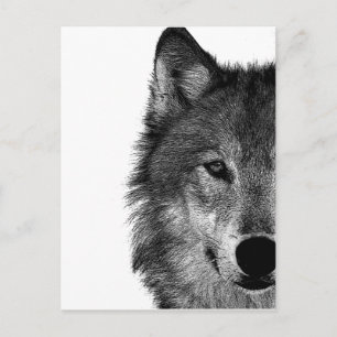 Schwarz-Weiß-Wolfauge-Kunstwerk Postkarte