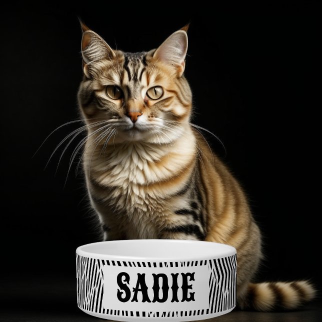 Schwarz-Weiß-Zebrastreifen Napf (Von Creator hochgeladen)