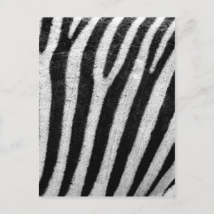 Schwarz-Weiß-Zebrastreifen Postkarte