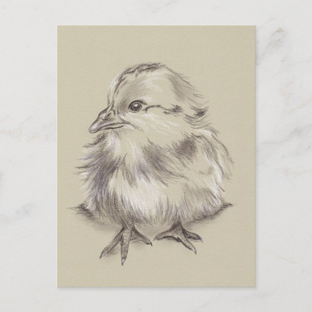 Schwarz-Weiß Zeichnend Küken auf Taupe Postkarte (Vorderseite)