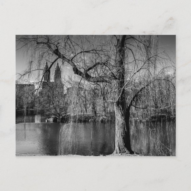 Schwarz-Weiß-Zentralpark New York Landschaft Postkarte (Vorderseite)