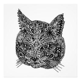 Schwarz-Weiß-Zierkatzen-Portrait Fotodruck
