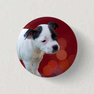 Schwarz-Weiß-Zwergpuppy Button
