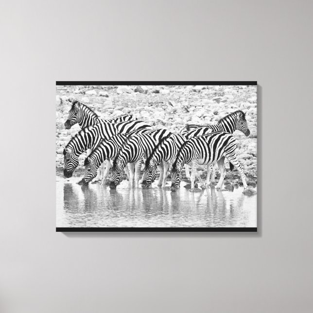 Schwarz-weiße Afrikanische Zebra-Gruppe Wrapped Ca Leinwanddruck (Vorderseite)
