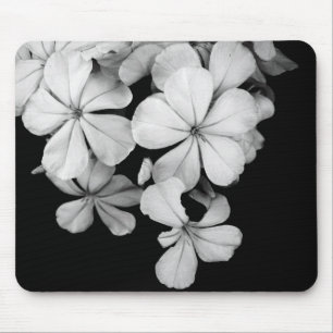 schwarz-weiße Bleiwurz Mousepad