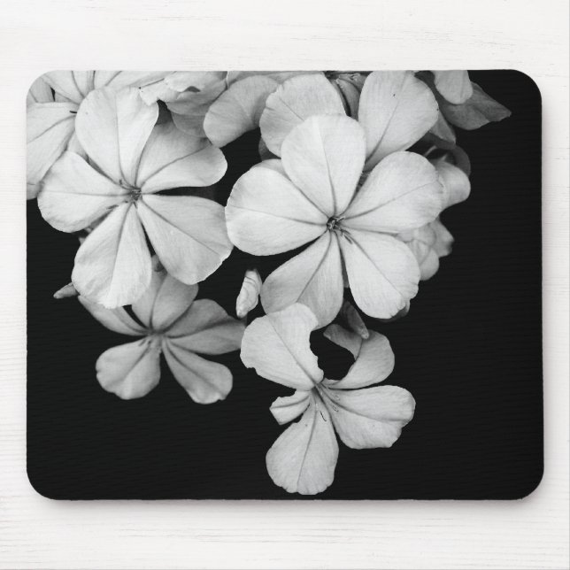 schwarz-weiße Bleiwurz Mousepad (Vorne)