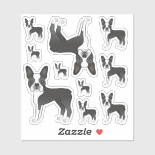 Schwarz-weiße Boston-Terrier-Hund-Illustrationen Aufkleber