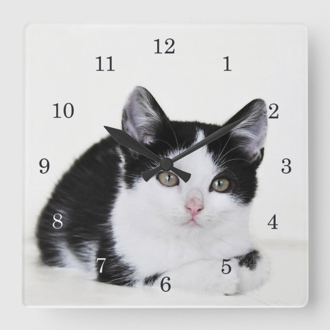 Schwarz-weiße durchdachte Kätzchen-Wand-Uhr Quadratische Wanduhr (Vorderseite)