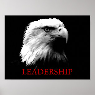 Schwarz-weiße Führungsrolle Eagles Eyes Poster