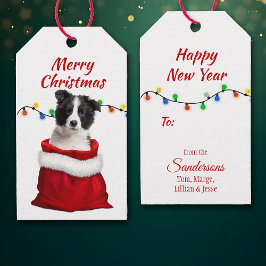 Schwarz-weiße Grenz-Kleine Welpe in Santa Bag Geschenkanhänger