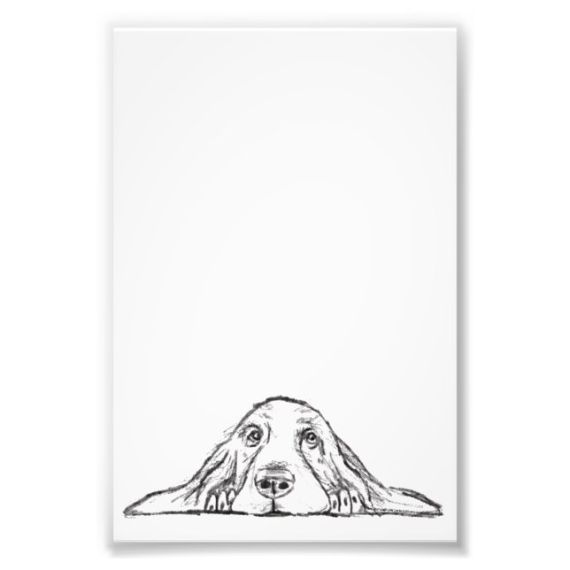 Schwarz-weiße Hundeaugen Fotodruck (Vorne)