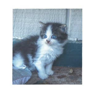 Schwarz + Weiße Kitte Notizblock