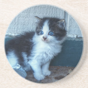 Schwarz + Weiße Kitte Sandstein Untersetzer