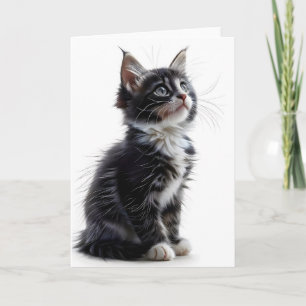 Schwarz-weiße Langhaarkatze leere Grußkarte Karte
