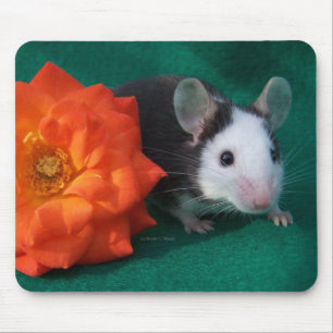 Schwarz-weiße Maus und orange Tee-Rose Mousepad