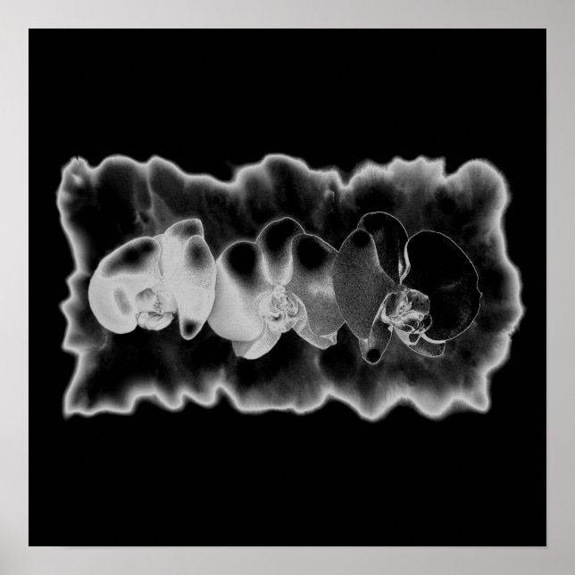 Schwarz-weiße Orchideenmalerei Poster (Vorne)
