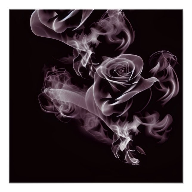 Schwarz - weiße Rose - abstrakt. Poster (Vorderseite)