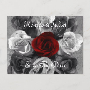 Schwarz-weiße Rose Save the Date Postkarte