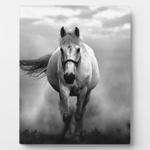 Schwarz-weiße Running Horse Freedom Fotoplatte
