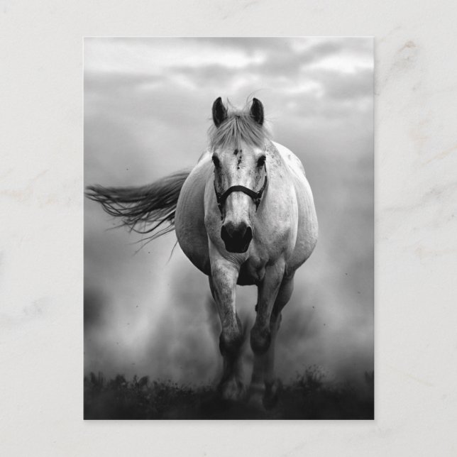 Schwarz-weiße Running Horse Freedom Postkarte (Vorderseite)
