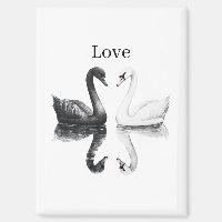 Schwarz Weiße Schwäne Vögel Spiegelung Liebe