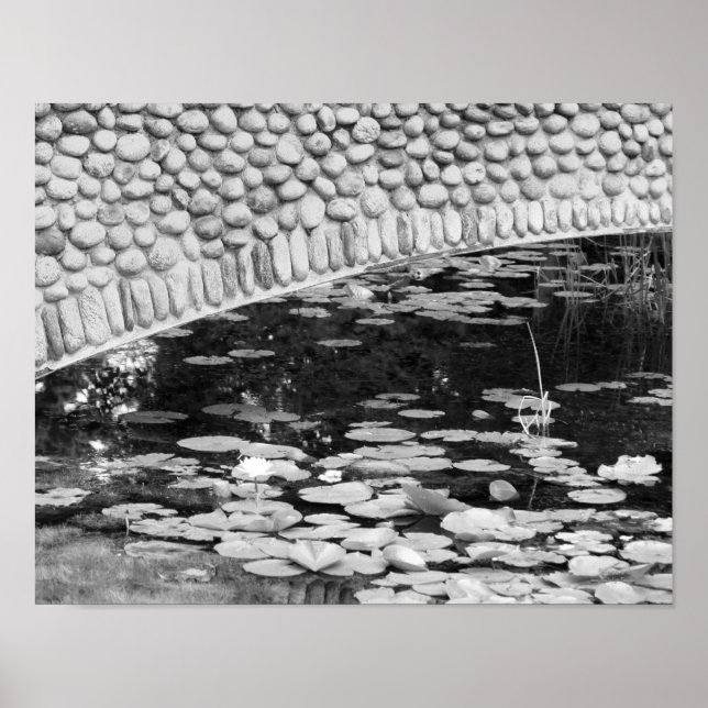 Schwarz-weiße Stone Bridge Lily Pond Poster (Vorne)