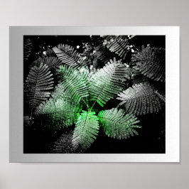 Schwarz-weiße tropische Kunst Poster