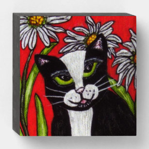 Schwarz-weiße Tuxedo Katze Daisy Blume Rot Holzkisten Schild