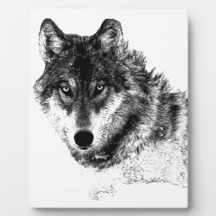 Schwarz-weiße Wolf-Augen Fotoplatte