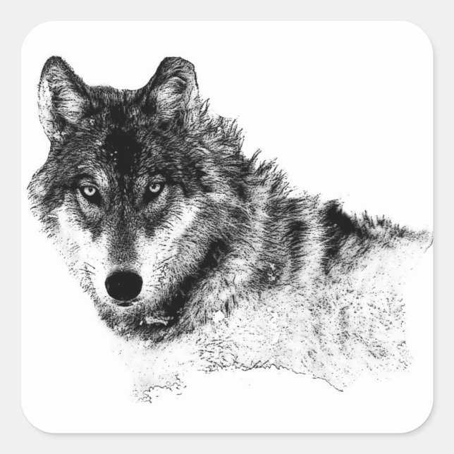 Schwarz-weiße Wolf-Augen Quadratischer Aufkleber (Vorderseite)