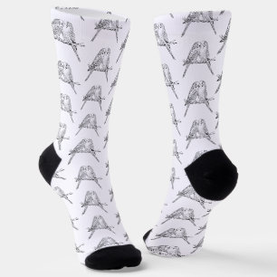 Schwarz-weiße zwei Wellensittiche sitzen zusammen Socken
