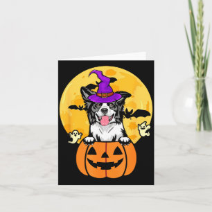 Schwarz-weißer Border Collie Hexenhund Halloween Karte