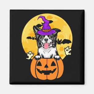 Schwarz-weißer Border Collie Hexenhund Halloween Magnet