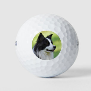 Schwarz-weißer Border Collie Hund Golfball