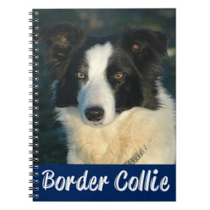 Schwarz-weißer Border Collie Welpe Hund Journal Notizblock