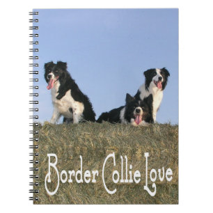 Schwarz-weißer Border Collie Welpe Hund Liebesjour Notizblock