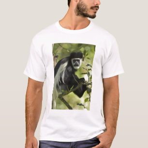 Schwarz-weißer Colobus T-Shirt