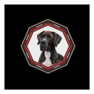 Schwarz-weißer Dogge in einem roten Rahmen Poster