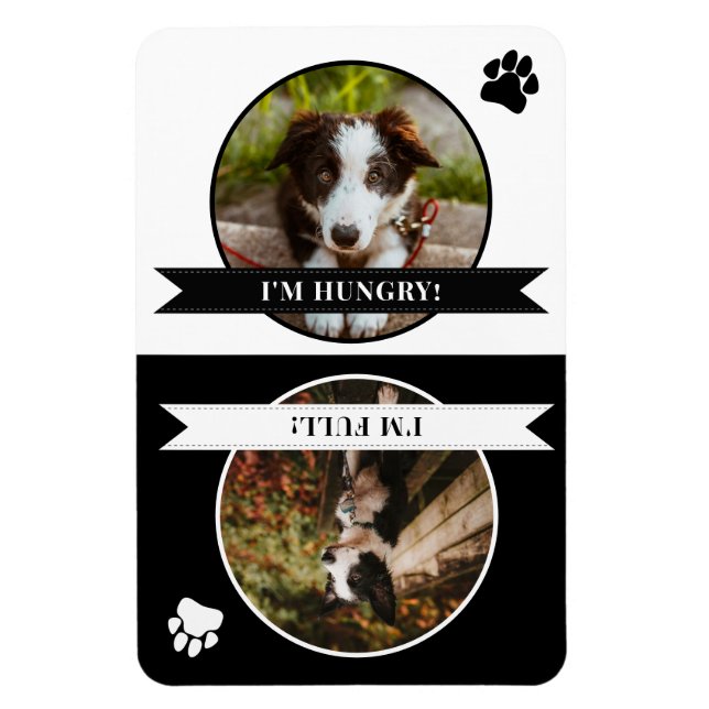 Schwarz-weißer Druckhund für Paw ist Foto Gefütter Magnet (Vertikal)