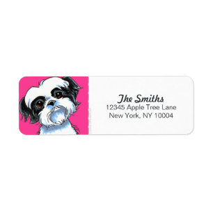 Schwarz-weißer heißes Rosa-Block Shih Tzu