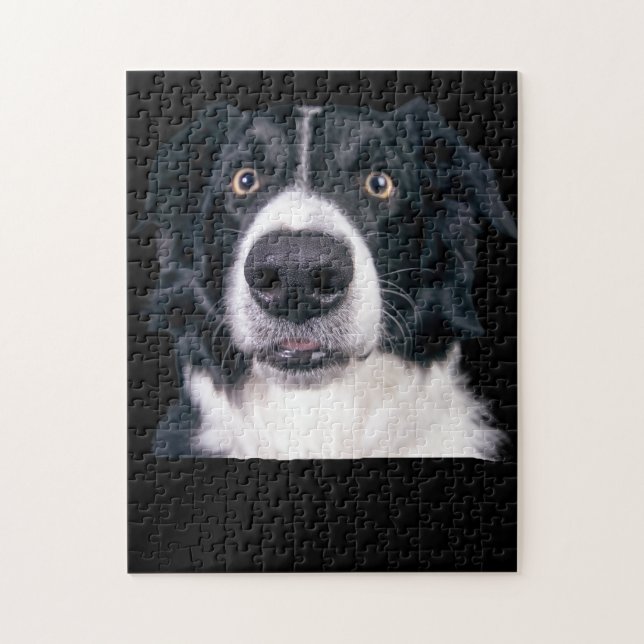Schwarz-weißer Hundekopf (Vertikal)